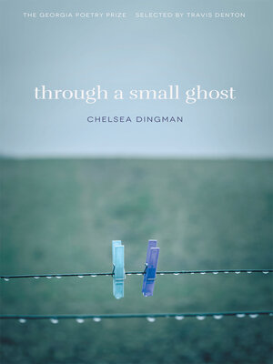 cover image of Through a Small Ghost